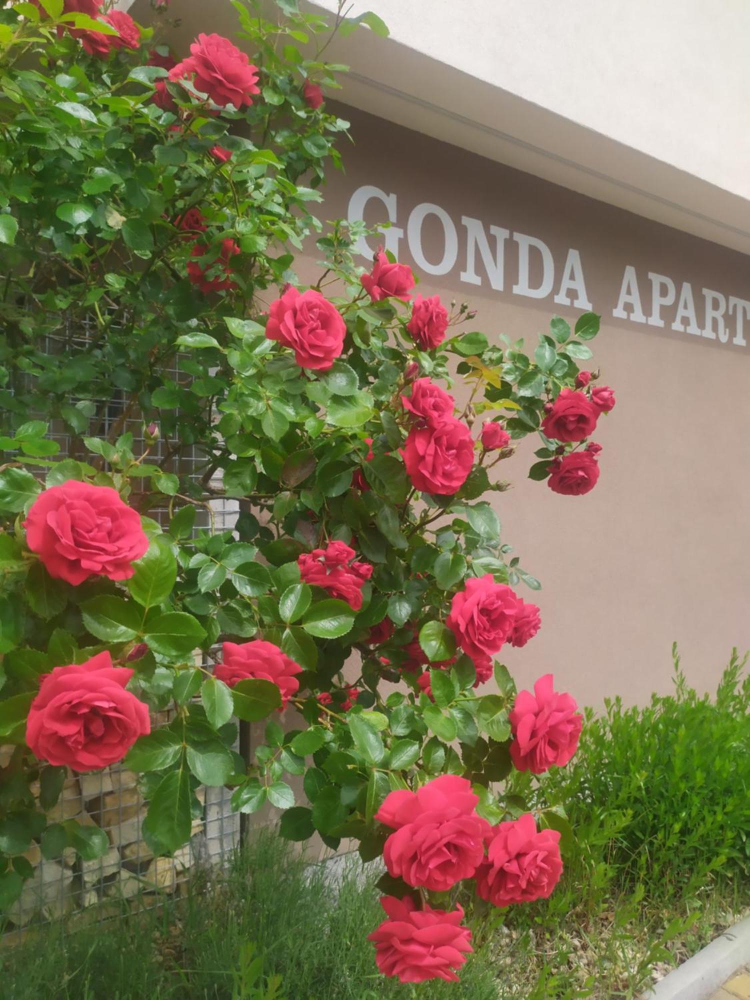Gonda Apartments Hradec Králové Buitenkant foto